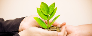 Grow Our Sprouts Plan (GOSP) helps your kids establish smart money management concepts and skills.